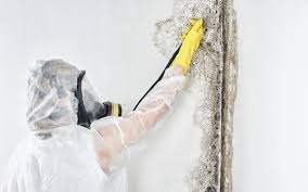 Best Water Damage & Mold Remediation  in Ritzville, WA